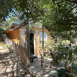 Chalet Dans Les Arbres, Nizza